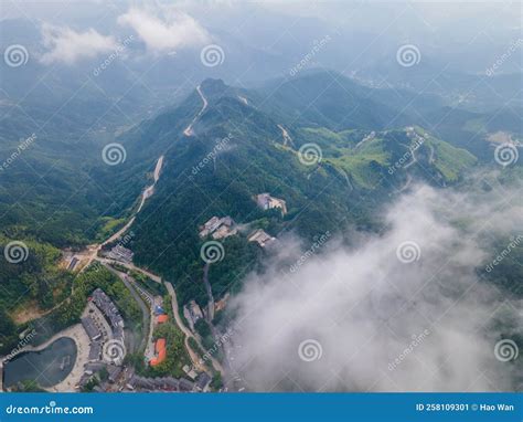  黃崗國家森林公園：遼闊的綠色奇觀與豐富的生物多樣性！