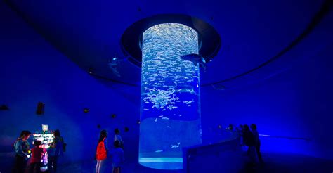  埃斯泰拉水族館：探索海洋奇蹟的奇妙旅程！